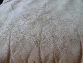 D&eacute;pgmentation du cuir
