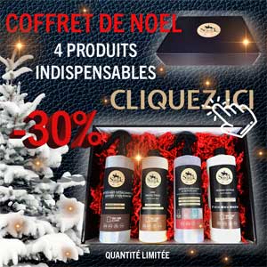 Coffret entretien cuir voiture et canapé