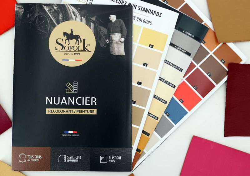 Sofolk - Nuancier pour Peinture Cuir, Simili-Cuir et Plastique - 97  Couleurs - 21 x 60 cm - Pour Choisir la Bonne Couleur : : Cuisine  et Maison