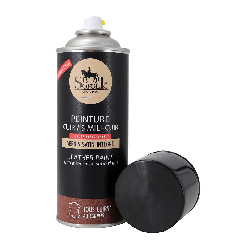 Car Leather Paint With Integrated Varnish