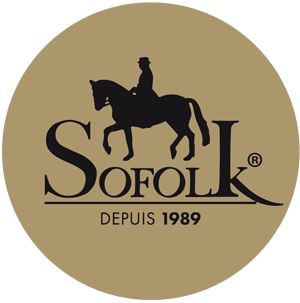 Peinture Plastique Auto Sofolk